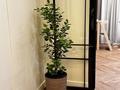 3-бөлмелі пәтер · 100 м² · 9/17 қабат, мкр Нурсат, Байтерекова 190a, бағасы: 105 млн ₸ в Шымкенте, Каратауский р-н — фото 4