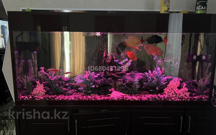 Отдельный дом · 5 комнат · 100 м² · 8 сот., Переулок Батумский(Гоголя) 27 за 59 млн 〒 в Караганде, Казыбек би р-н — фото 50