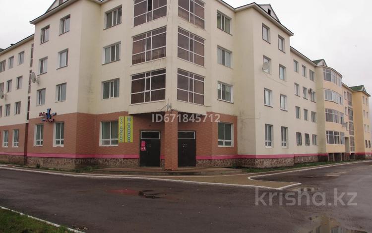 Офисы • 160 м² за 41 млн 〒 в Кокшетау — фото 2
