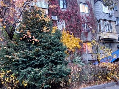 3-бөлмелі пәтер · 77 м² · 1/4 қабат, Желтоксан — Абая, бағасы: 74 млн 〒 в Алматы, Бостандыкский р-н