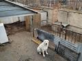 Свободное назначение · 140 м² за 35 млн ₸ в Кокшетау — фото 11