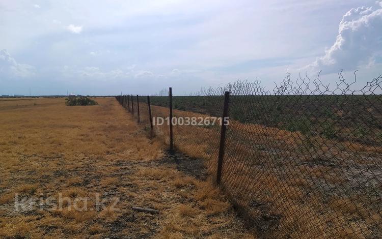 Участок · 100 га, Береке (Память Ильича) за 3 млн ₸ в Атырау — фото 2