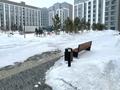 3-бөлмелі пәтер · 85.9 м² · 9/9 қабат, Шамши Калдаяков 60б — Шаймерденова, бағасы: 65 млн ₸ в Астане, Сарайшык р-н — фото 23