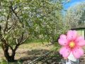 Дача · 4 комнаты · 100 м² · 6 сот., мкр Пригородный 79 — Ул.Черемушки 2 за 23 млн ₸ в Астане, Есильский р-н