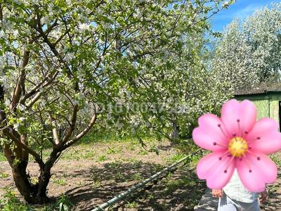 Дача · 4 комнаты · 100 м² · 6 сот., мкр Пригородный 79 — Ул.Черемушки 2 за 23 млн ₸ в Астане, Есильский р-н
