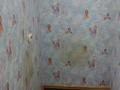 3-бөлмелі пәтер · 54 м² · 1/5 қабат, Казахстан 95 — Библиотеки Пушкина, Областной больницы ЦОН, бағасы: 20 млн ₸ в Усть-Каменогорске, Ульбинский — фото 6