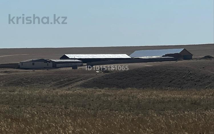 Өнеркәсіптік база · 200 га, Не 11, бағасы: 120 млн ₸ в Курты — фото 2