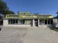 Свободное назначение · 620 м² за 250 млн ₸ в Каскелене