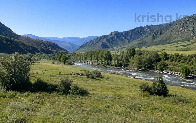 Жер телімі · 3 га, Жабағылы, бағасы: 90 млн ₸ в Жабаглы — фото 2
