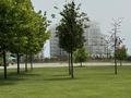 1-комнатная квартира · 36 м², ​База отдыха Теплый пляж 120 за 300 000 ₸ в Актау — фото 2