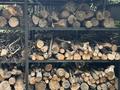 Участок · 11 соток, мкр Ерменсай — Высокогорная за 120 млн ₸ в Алматы, Бостандыкский р-н — фото 5
