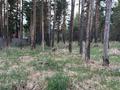Участок · 118 соток, Алтынсаринский район, Пс Щербакова — Находиться Алтынсаринский район Пс Щербакова база отдыха мюнхен за 25 млн ₸ в Костанае — фото 3