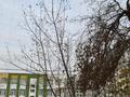 1-комнатная квартира · 17 м² · 1/5 этаж, Лебедева 70 за 20.5 млн ₸ в Алматы, Бостандыкский р-н — фото 23