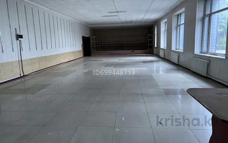 Еркін · 200 м², бағасы: 400 000 ₸ в Есик — фото 3