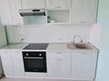1-комнатная квартира · 45 м² · 10/10 этаж, Айнаколь 62/1 за 200 000 ₸ в Астане, Алматы р-н — фото 3