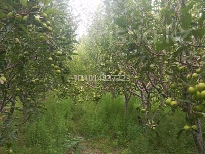 Жеке үй · 5 бөлме · 110 м² · 30 жүзд., Гани батыра 8 а 8 а — Жанатурмыс, бағасы: 22 млн ₸ в Казахстане