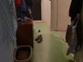 3-бөлмелі пәтер · 59.4 м² · 4/5 қабат, Макатаева — ул. Пушкина, бағасы: 45 млн ₸ в Алматы, Медеуский р-н — фото 2