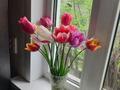 Жеке үй · 4 бөлме · 55 м² · 4.5 жүзд., Аймауытова — Пр .Сейфуллина - Аймауытова, бағасы: 45 млн ₸ в Алматы, Турксибский р-н — фото 7