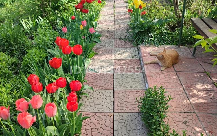 Жеке үй · 4 бөлме · 55 м² · 4.5 жүзд., Аймауытова — Пр .Сейфуллина - Аймауытова, бағасы: 45 млн ₸ в Алматы, Турксибский р-н — фото 170