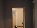 Отдельный дом · 4 комнаты · 120 м² · 5 сот., Левый Восточный 2020 за 13.9 млн ₸ в Семее — фото 46