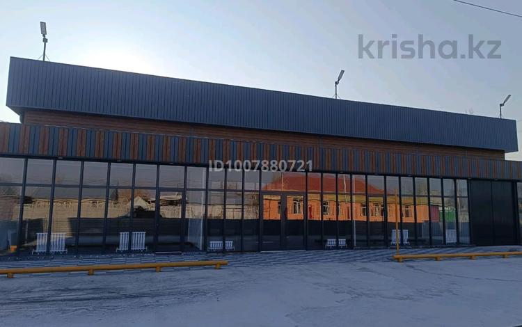 Дүкендер мен бутиктер · 557 м², бағасы: 290 млн ₸ в Гродеково — фото 2