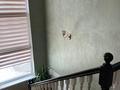 Отдельный дом · 6 комнат · 250 м² · 8 сот., мкр Карагайлы — Арал за 98.5 млн ₸ в Алматы, Наурызбайский р-н — фото 38