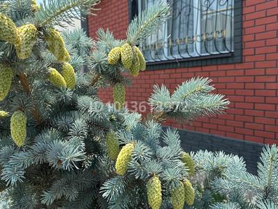 Жеке үй · 4 бөлме · 100 м² · 5 жүзд., Акорда 15 — За магазином Саукеле, бағасы: 49.9 млн ₸ в Каскелене