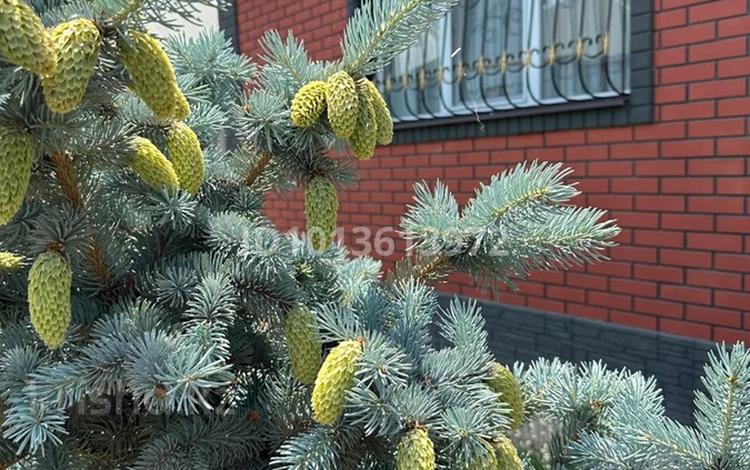 Жеке үй · 4 бөлме · 100 м² · 5 жүзд., Акорда 15 — За магазином Саукеле, бағасы: 49.9 млн ₸ в Каскелене — фото 2