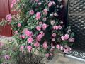Жеке үй · 4 бөлме · 100 м² · 5 жүзд., Акорда 15 — За магазином Саукеле, бағасы: 49.9 млн ₸ в Каскелене — фото 19
