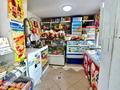 Дүкендер мен бутиктер · 70 м², бағасы: 47 млн ₸ в Алматы, Жетысуский р-н — фото 6