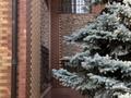 Отдельный дом · 5 комнат · 240 м² · 8.8 сот., мкр Калкаман-2, Хрищатого 28 — Рынок «Таусамалы» за 175 млн ₸ в Алматы, Наурызбайский р-н — фото 22