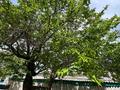 Жеке үй · 4 бөлме · 100 м² · 9 жүзд., ул. Момышулы, бағасы: 23 млн ₸ в Шелек — фото 8