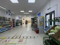 Свободное назначение, магазины и бутики, общепит, салоны красоты · 700 м² за 78 млн ₸ в Атырау, пгт Балыкши — фото 17