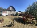Отдельный дом · 3 комнаты · 80 м² · 6 сот., 3 линия за 19 млн ₸ в Байсерке — фото 6