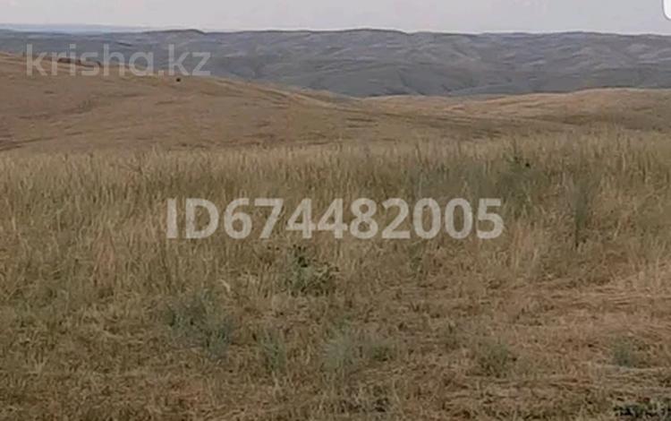 Участок · 6 га, Умбеталы за 5 млн ₸ в Узынагаш — фото 9