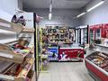 Магазины и бутики, офисы, свободное назначение • 160 м² за 67 млн 〒 в Астане, Алматы р-н — фото 4
