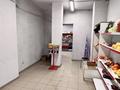 Магазины и бутики, офисы, свободное назначение • 160 м² за 67 млн 〒 в Астане, Алматы р-н — фото 7