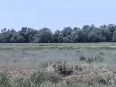 Участок · 6.2 га, Алатау за 190 млн ₸