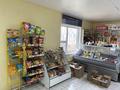 Продуктовый Магазин Аружан · 80 м² за 15 млн ₸ в Уральске, мкр. Зачаганск пгт — фото 4