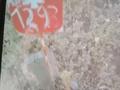 Участок · 9.97 соток, Шығыс Массив 1293 — Жер Қызылжарға жақын за 2 млн ₸ в Актобе, жилой массив Рауан — фото 2