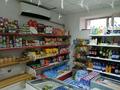 Магазины и бутики • 48 м² за 12 млн 〒 в Астане, Алматы р-н — фото 3