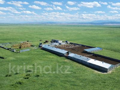 Ауыл шаруашылығы · 100000 м², бағасы: 990 млн ₸ в Алматинской обл., Таргап