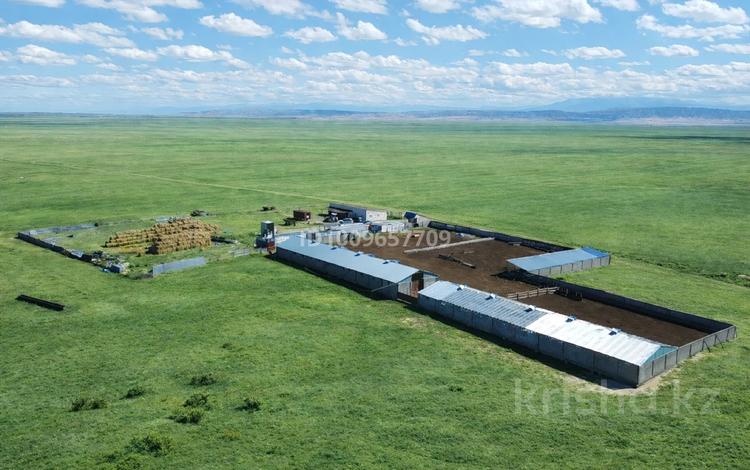Сельское хозяйство · 100000 м² за 990 млн ₸ в Алматинской обл., Таргап — фото 2