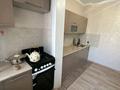 1-комнатная квартира · 50 м² · 2/5 этаж, Шевченко 162 за 320 000 ₸ в Алматы, Алмалинский р-н — фото 4