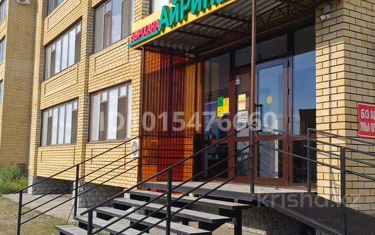 Айрин Аптека · 54 м², бағасы: 80 млн ₸ в Семее — фото 2