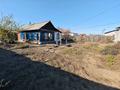 Отдельный дом · 3 комнаты · 43.8 м² · 4.3 сот., Красина 45 за 14 млн ₸ в Семее — фото 12