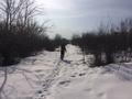 Участок · 80 соток, ул. Дружба-спорт — Около 420 метров от реки Ерменсай за 101 млн 〒 в Алматы, Медеуский р-н — фото 12