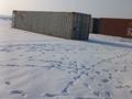 Участок · 1 га, С/о Коксай за 160 млн ₸ в Иргели