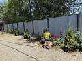 Отдельный дом · 4 комнаты · 110 м² · 7 сот., мкр Алгабас — ул. Турдиева 34 за 45 млн ₸ в Алматы, Алатауский р-н — фото 3