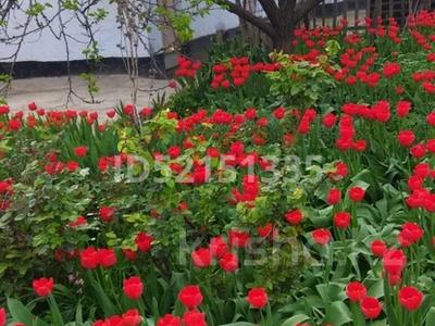 Жеке үй · 5 бөлме · 100 м² · 8 жүзд., Ул.теректи 36, бағасы: 28 млн ₸ в Шымкенте, Абайский р-н